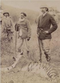 Tigerjagd Indien 1893