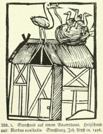 002 Storchnest auf einem Bauernhaus. Holzschitt aus HOrtus sanitatis. Straßburg, Joh. Pryß ca. 1498