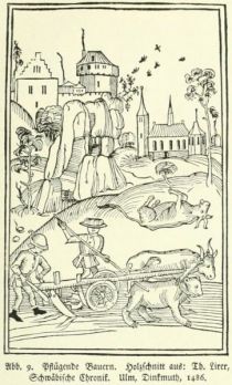009 Pflügende Bauern. Holzschnitt aus Th. Lirer, Schwäbische Chronik. Ulm, Dinkmuth, 1486