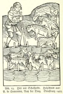 013 Hirt mit Schafherde. Holzschnitt P. de Crescentiis, Nutz der Ding. Straßburg 1493