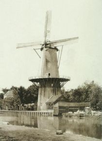 Holland - Mühle