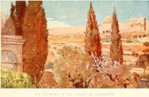 The Cypresses of the Garden of Gethsemane.