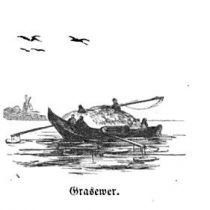 Grasewer