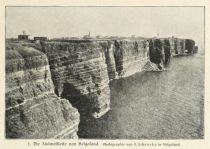 001. Die Südwestseite von Helgoland. Photographie von F. Schensky in Helgoland